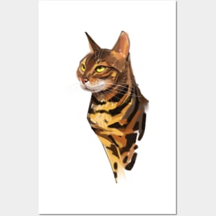 My painting leopard cat Posters and Art